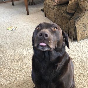 Meet your Posher, Mae